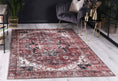 Load image into Gallery viewer, Distressed Vintage Cezanne Terracotta Area Rug on floor