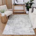Load image into Gallery viewer, Abstract Evalina Grey Rug