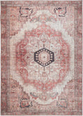 Load image into Gallery viewer, Carmine Vintage Farmhouse Charm in Pink Rug