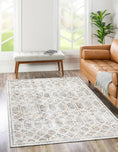Load image into Gallery viewer, Chantilly Lace Multi Rug in living room