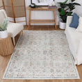 Load image into Gallery viewer, Chantilly Lace Multi Rug in living room