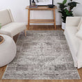 Load image into Gallery viewer, Chateau Ash Rug modern
