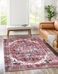 Load image into Gallery viewer, Distressed Vintage Cezanne Terracotta Area Rug on floor