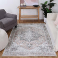 Load image into Gallery viewer, Distressed Vintage Cezanne Blush Area Rug in room