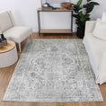 Load image into Gallery viewer, Distressed Vintage Chilaz Grey Rug