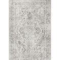 Load image into Gallery viewer, Distressed Vintage Chilaz Grey Rug main