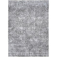 Load image into Gallery viewer, Contemporary Lauro Grey Rug main