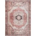 Load image into Gallery viewer, Carmine Vintage Rust Rug main