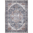 Load image into Gallery viewer, Distressed Vintage Cezanne Rabbit Gray Inca Gold Area Rug