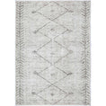 Load image into Gallery viewer, Wild Congo Natural Beige Rug main