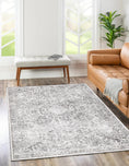Load image into Gallery viewer, Versailles Winter Gray Rug on floor