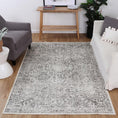 Load image into Gallery viewer, Versailles Winter Gray Rug quality