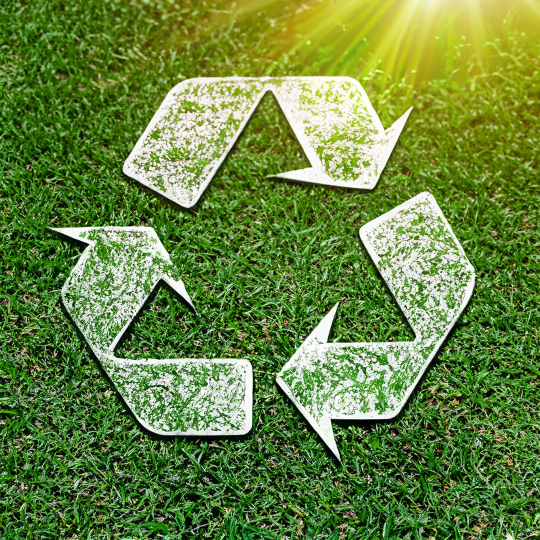 Eco-Friendly Rugs: Enhancing Your Space While Saving the Planet