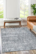 Load image into Gallery viewer, Jasper Grey Area Rug front facing
