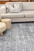 Load image into Gallery viewer, Jasper Grey Area Rug in a room

