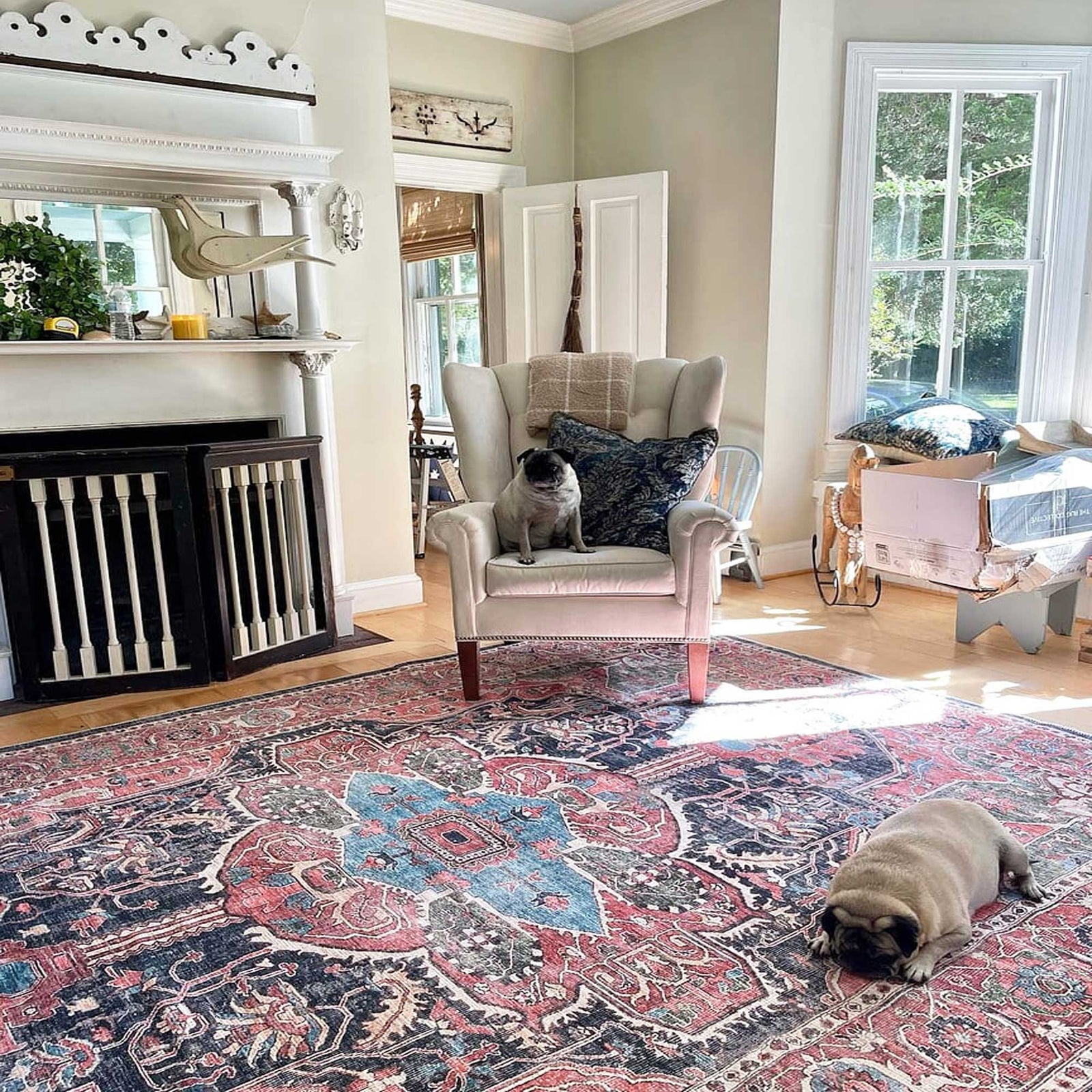 Bedroom Rugs | Machine Washable Rugs | Living Room Rugs | Cheap Rugs ...