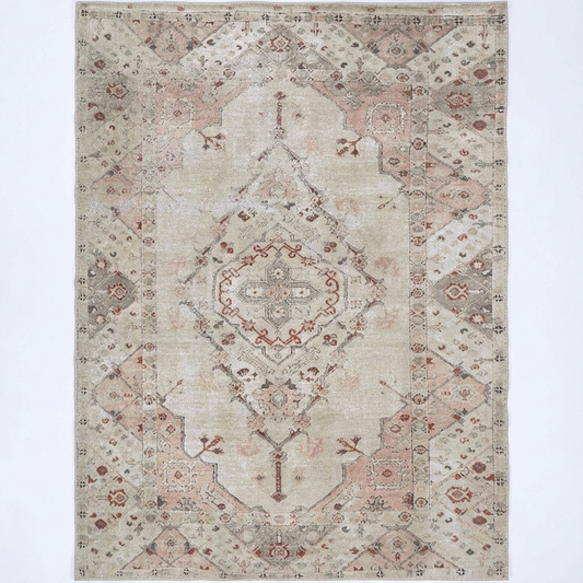 Sauville Modern Blush in Beige Rug