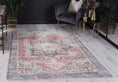 Load image into Gallery viewer, Distressed Vintage Cezanne Terracotta Sky Area Rug in living room
