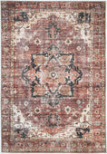 Load image into Gallery viewer, Distressed Vintage Cezanne Terracotta Area Rug
