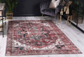 Load image into Gallery viewer, Distressed Vintage Cezanne Terracotta Area Rug on floor
