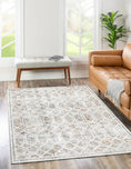 Load image into Gallery viewer, Chantilly Lace Multi Rug in living room
