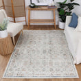 Load image into Gallery viewer, Chantilly Lace Multi Rug in living room
