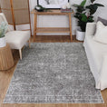 Load image into Gallery viewer, Contemporary Lauro Grey Rug quality
