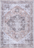 Load image into Gallery viewer, Distressed Vintage Cezanne Blush Area Rug
