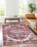 Load image into Gallery viewer, Distressed Vintage Cezanne Terracotta Area Rug on floor
