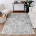 Load image into Gallery viewer, Distressed Vintage Chilaz Grey Rug
