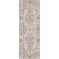 Load image into Gallery viewer, Sauville Blush Multi Runner Rug
