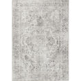 Load image into Gallery viewer, Distressed Vintage Chilaz Grey Rug main
