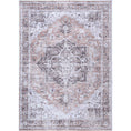 Load image into Gallery viewer, Distressed Vintage Cezanne Blush Area Rug main
