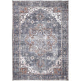Load image into Gallery viewer, Distressed Vintage Cezanne Rabbit Gray Inca Gold Area Rug
