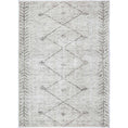Load image into Gallery viewer, Wild Congo Natural Beige Rug main
