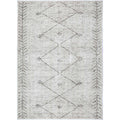 Wild Congo Distressed Look in Grey Rug